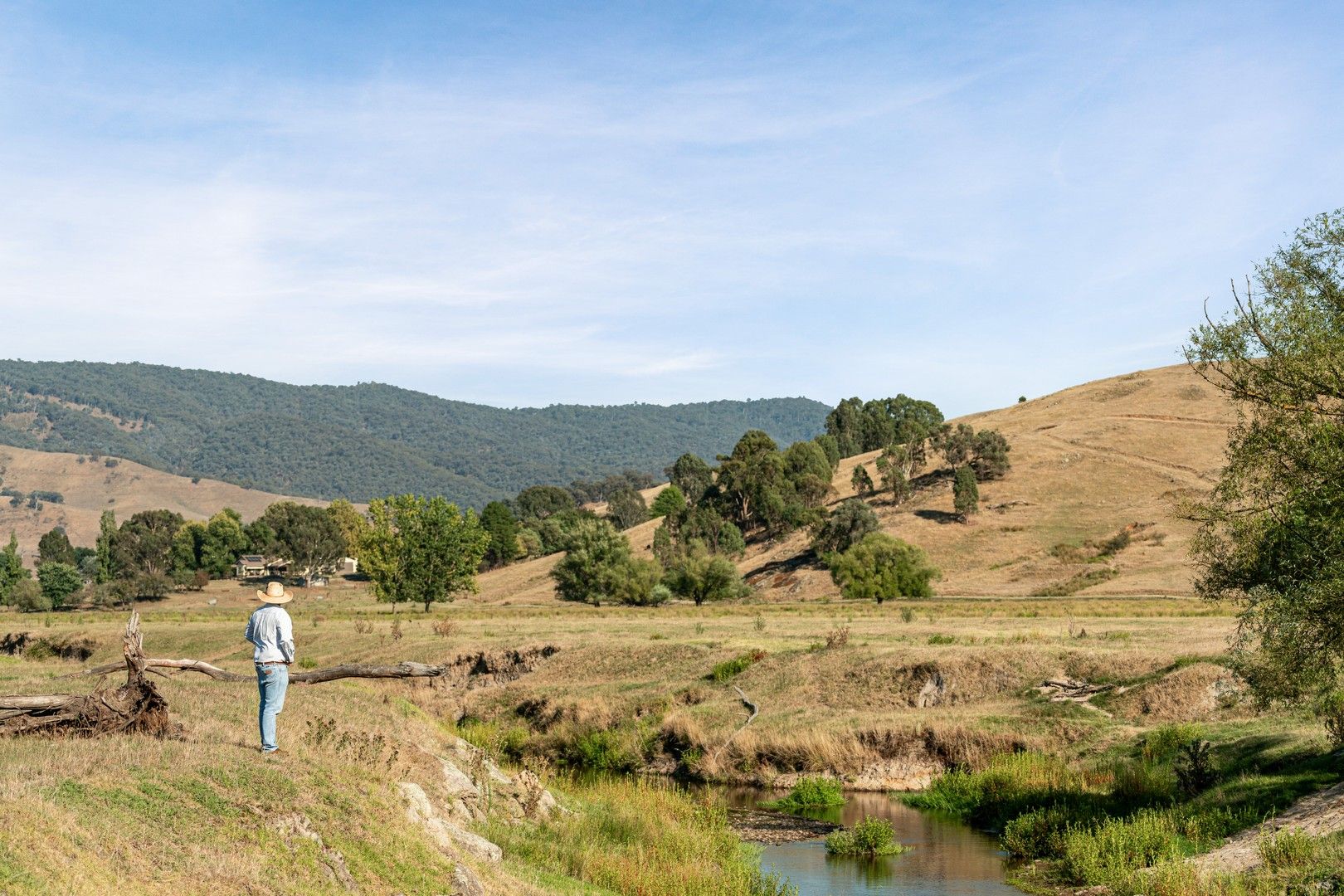 Moscrops Road, Bullioh VIC 3700, Image 0