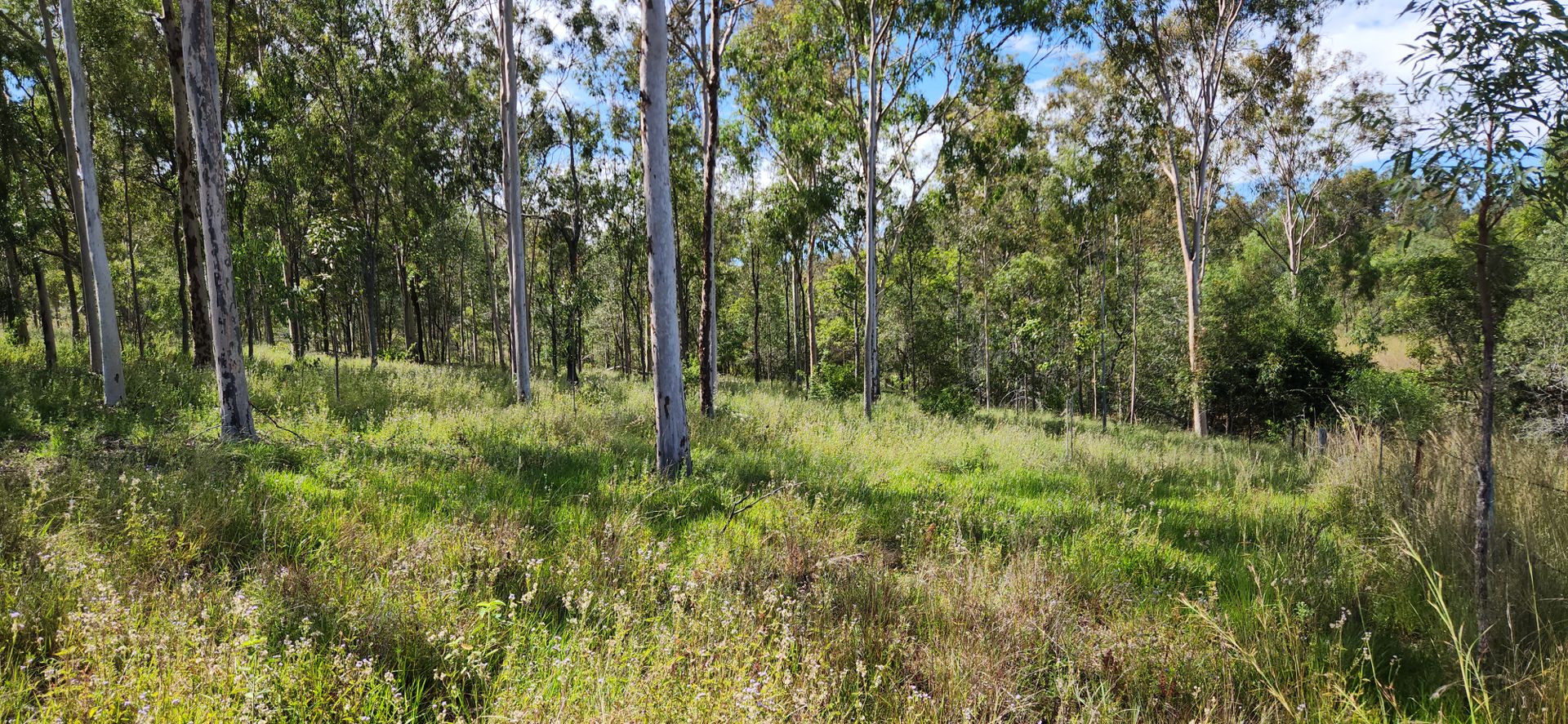 1325D Gin Gin Mount Perry Rd, Moolboolaman QLD 4671, Image 1
