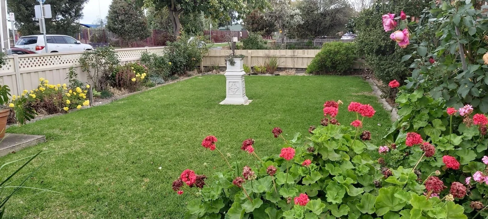 Image 14