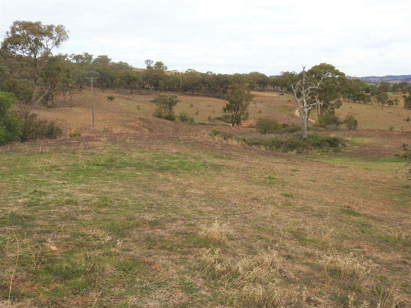 11 Allambie Road, Stuart Town Property History & Address Research