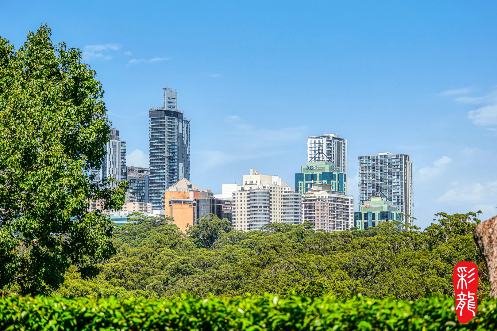 Additional image 10 of 90 Shirley Road, Roseville NSW 2069