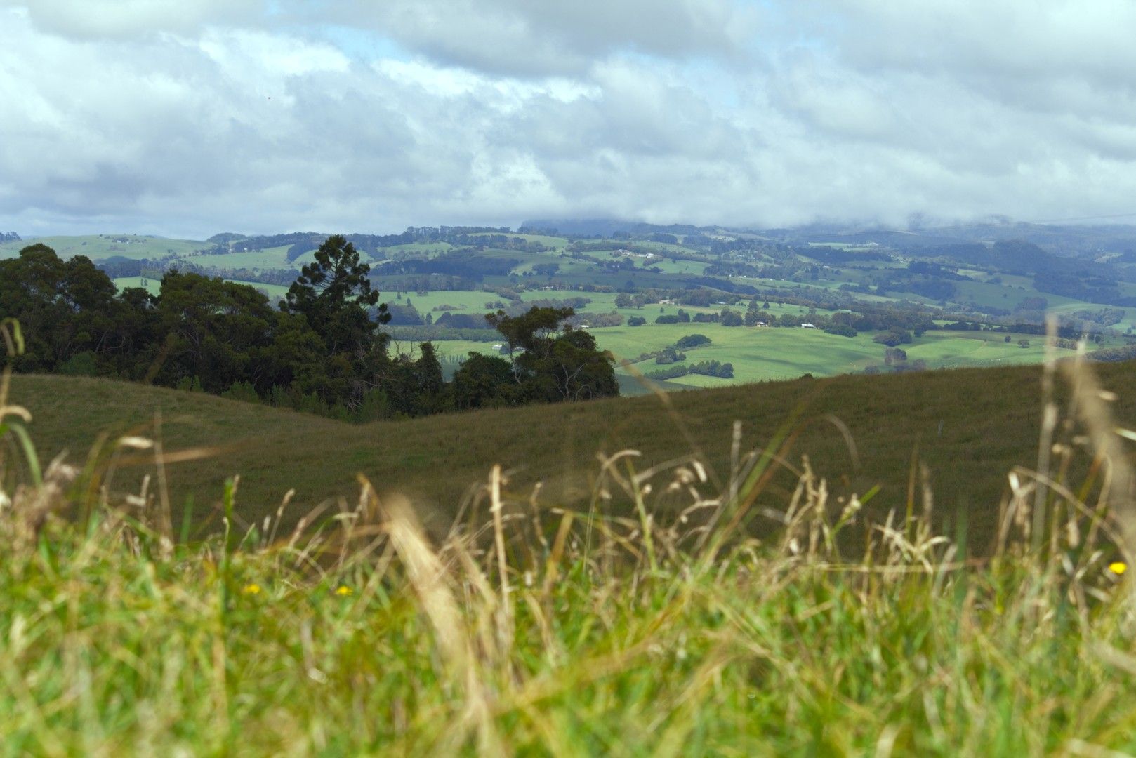 Dorrigo NSW 2453, Image 0