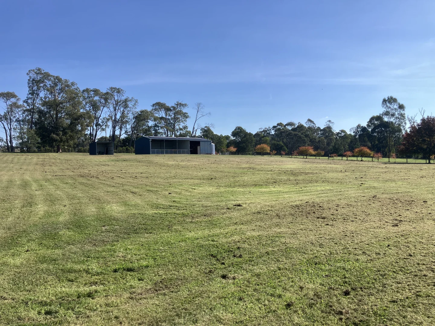 Image 15