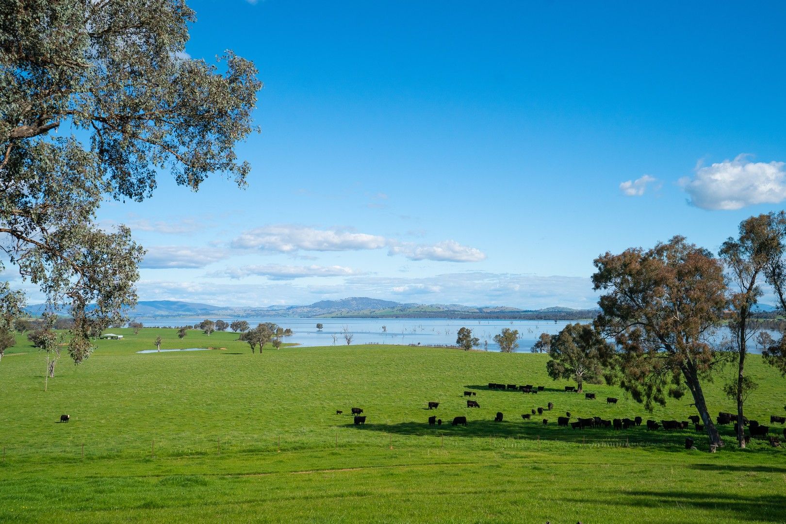 Clancy Road, Table Top NSW 2640, Image 0