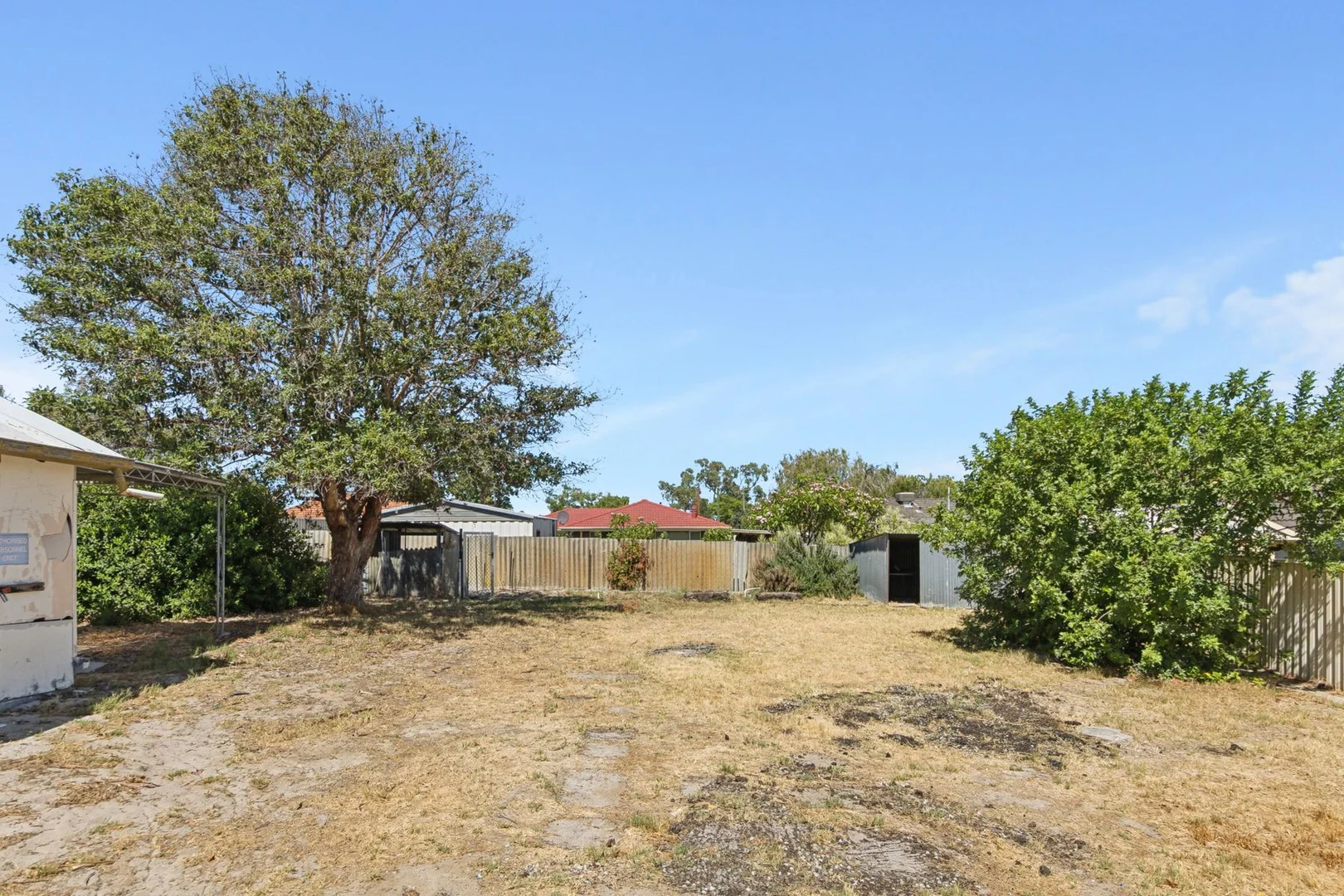 Image 21