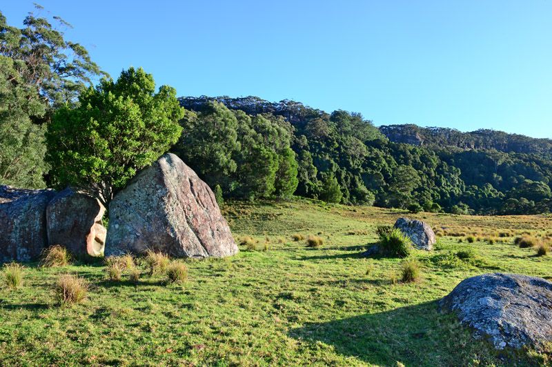 Leebold Hill Road, BROWNS MOUNTAIN NSW 2540, Image 2