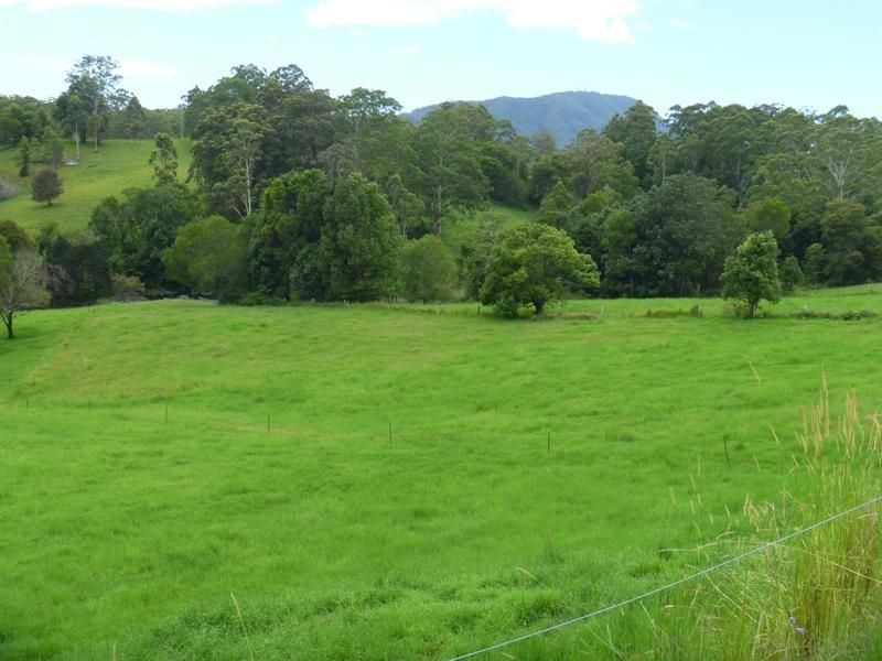 EUNGAI CREEK NSW 2441, Image 1