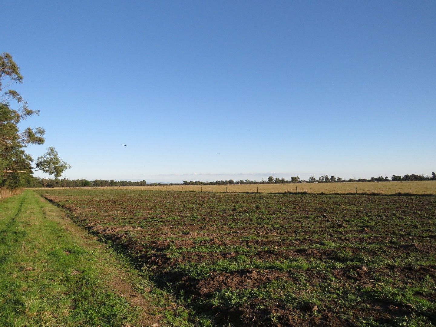 2070 Princes Highway, Nar Nar Goon VIC 3812 House for Rent Domain