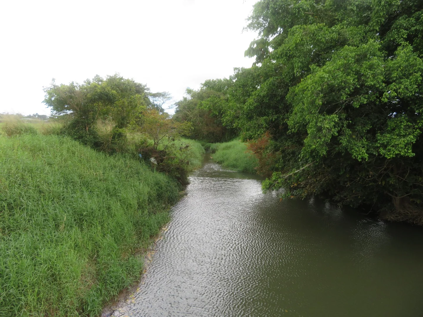 Additional image 12 of 85 Gundah Singh Road, Innisfail QLD 4860