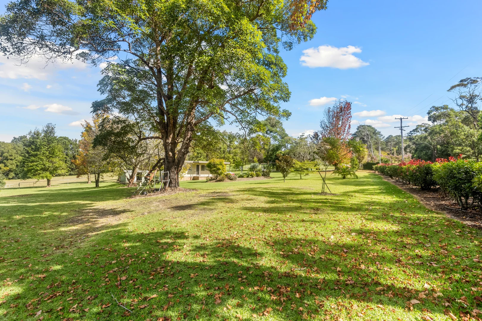 Additional image 8 of 675a Dog Trap Road, Somersby NSW 2250