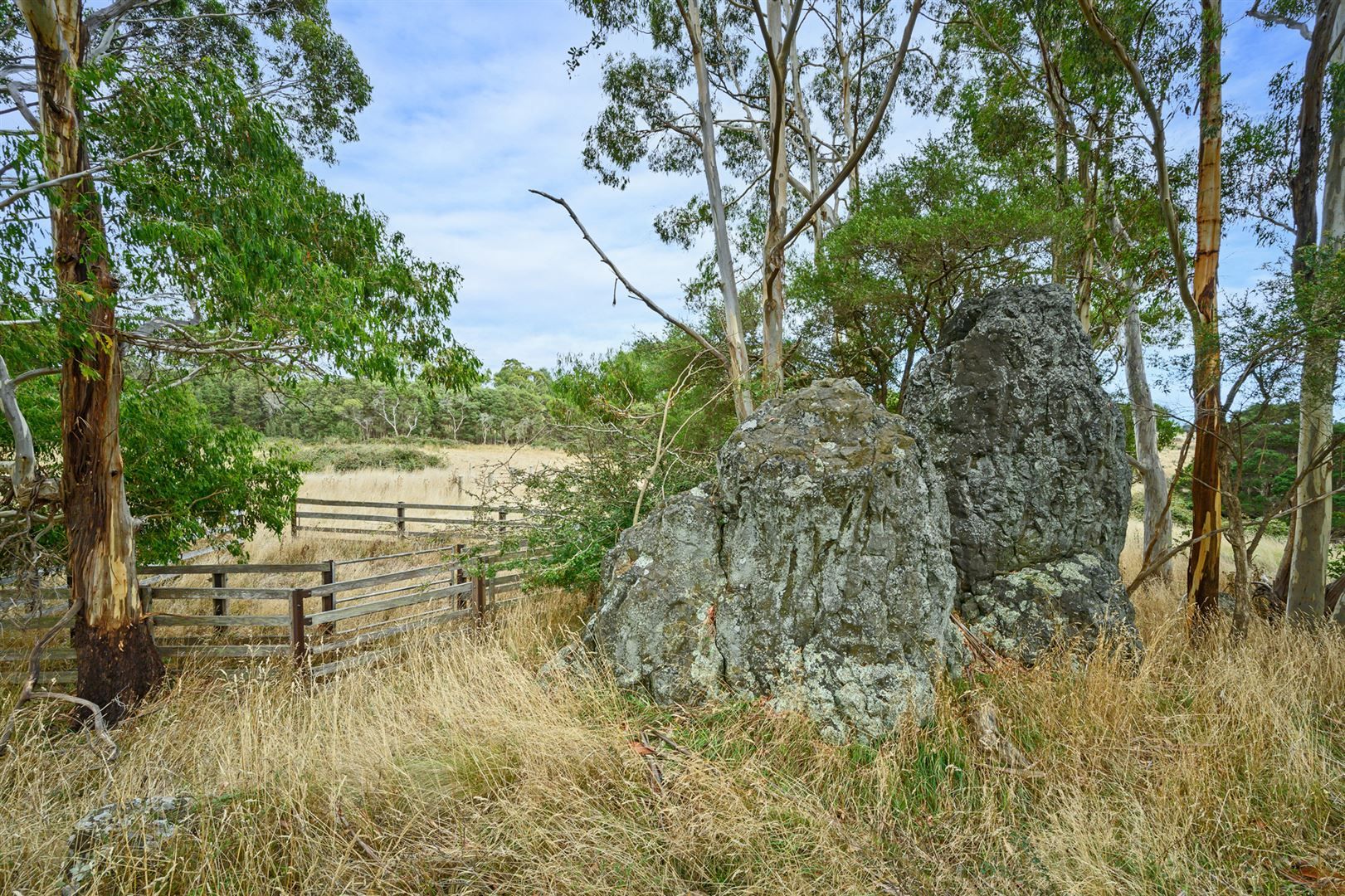 38 Walker Street, Wynyard TAS 7325, Image 2