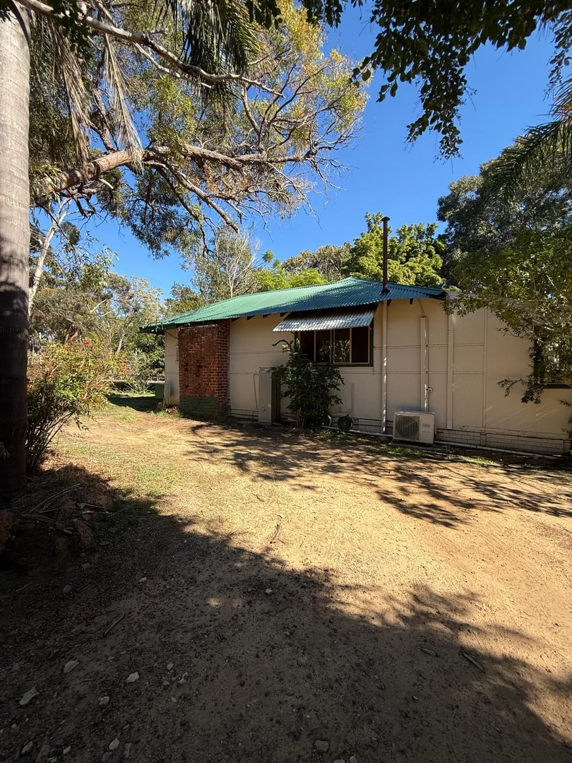 Image 13
