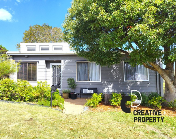 20 Curry Street, Cardiff NSW 2285