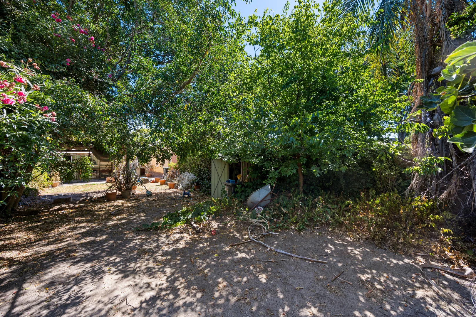 Image 10