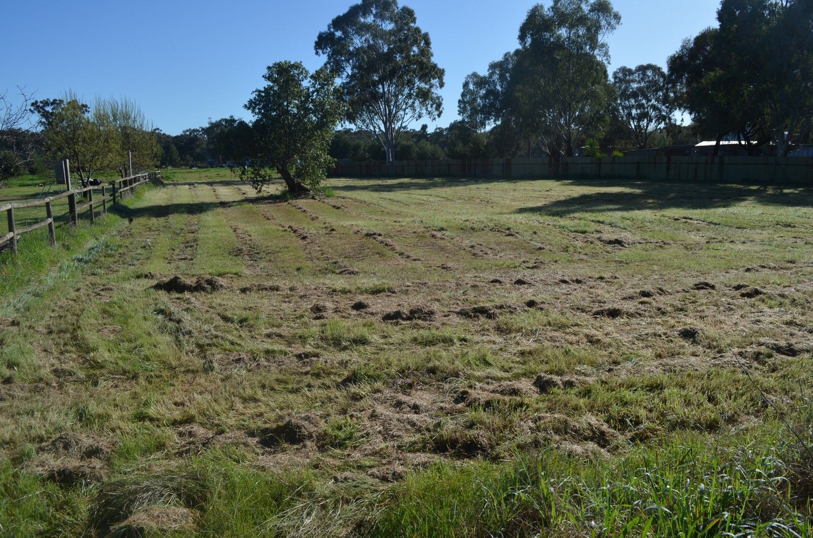 24 Logan Street, Coolamon NSW 2701, Image 0