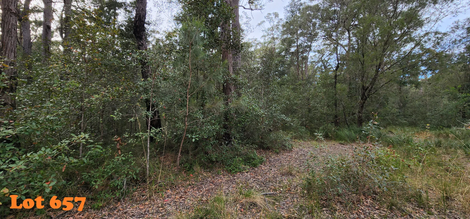Image 9