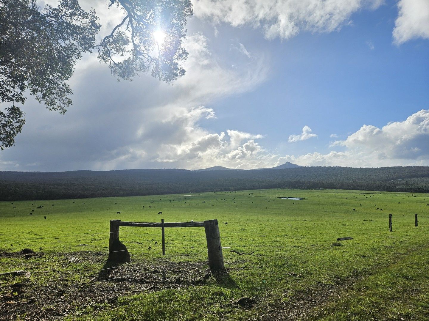 378 Hazelvale North Road, Hazelvale WA 6333, Image 0