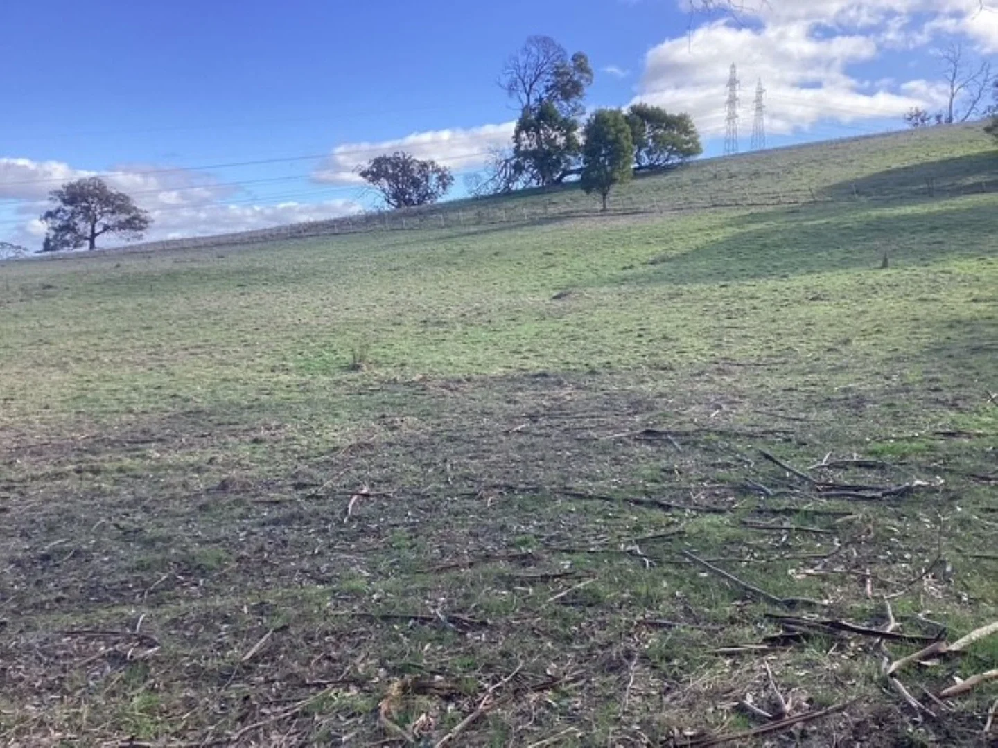 Image 19