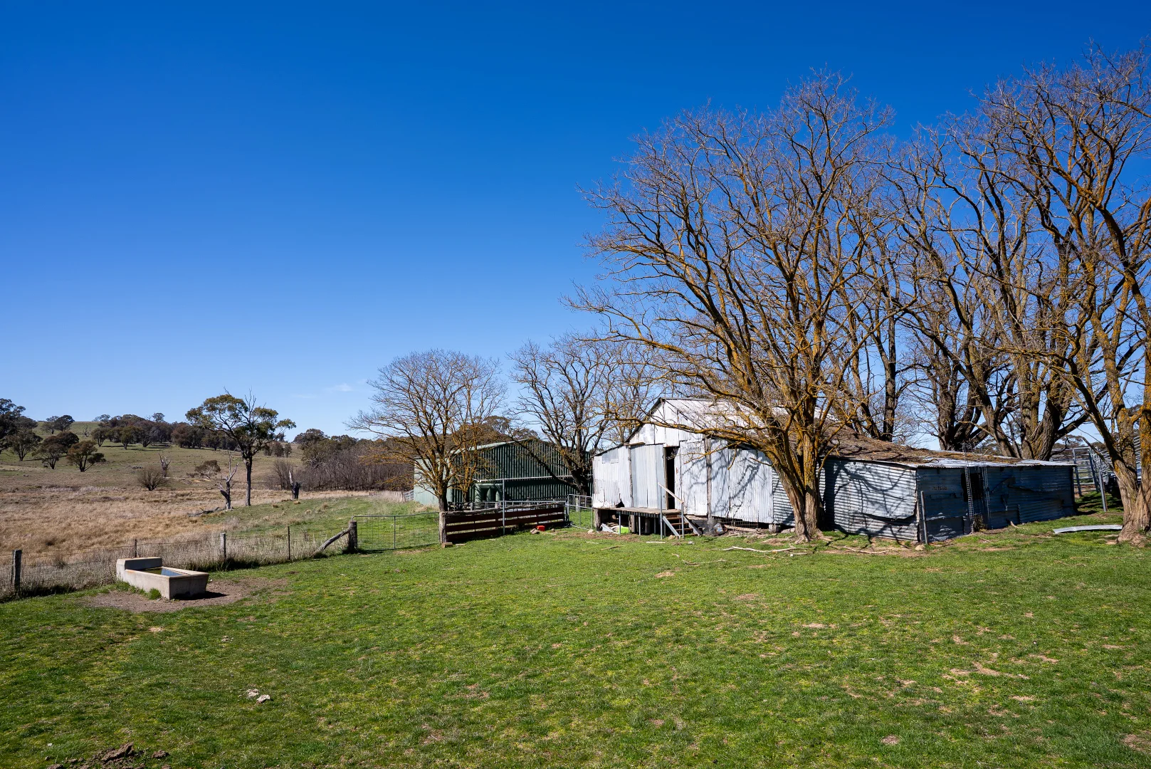 Image 10