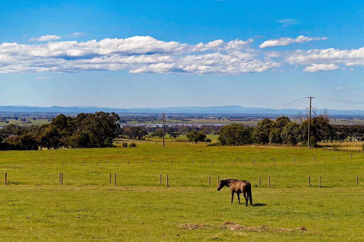 Lot 1 Andrews Road, Longford VIC 3851, Image 2