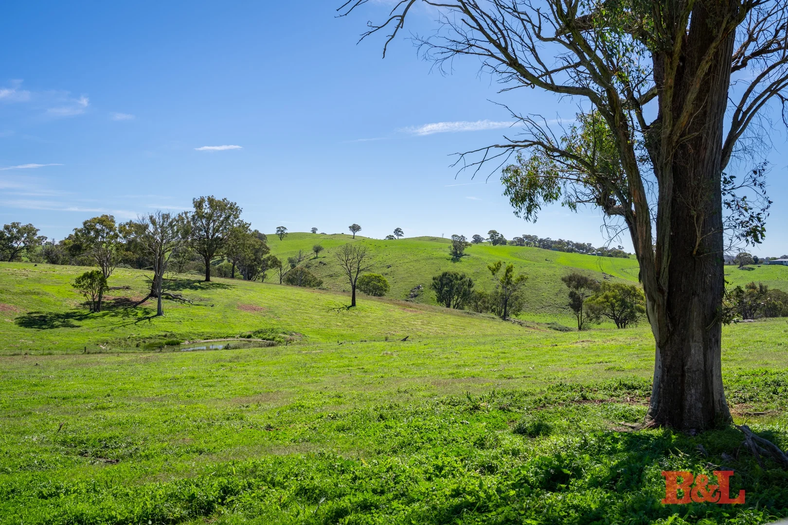 Image 14