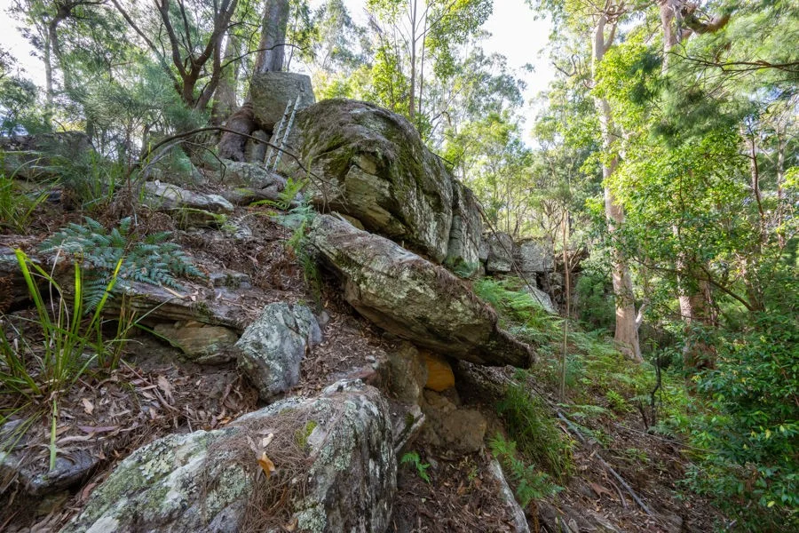 Image 2