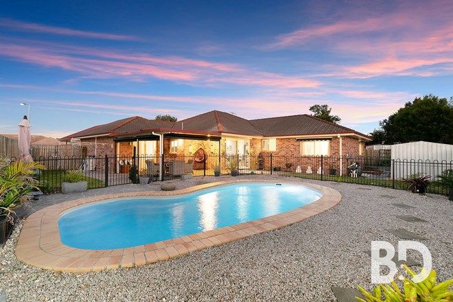 Picture of 11 Cooloola Court, UPPER CABOOLTURE QLD 4510