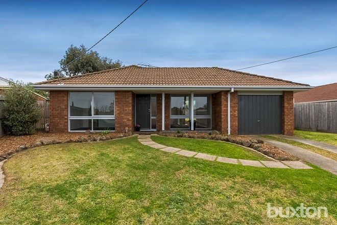 Picture of 8 Yongala Court, GROVEDALE VIC 3216