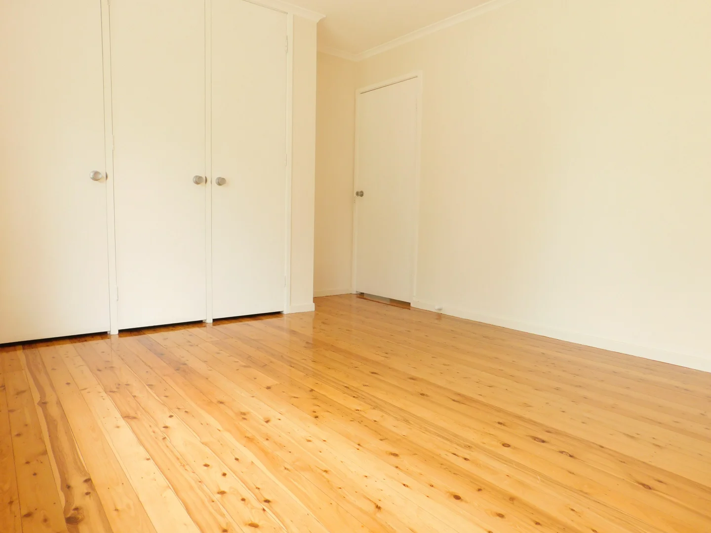 Additional image 6 of 3 Broughton Street, Wilton NSW 2571