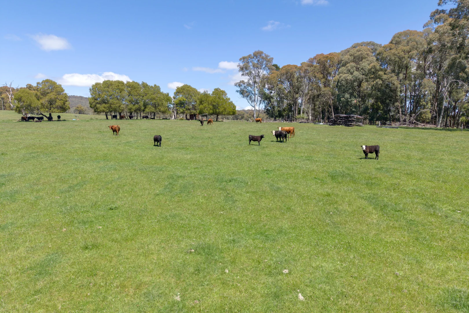 Additional image 5 of 218 Hurdle Flat Road, Beechworth VIC 3747