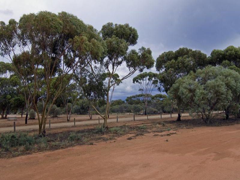 Mukinbudin WA 6479, Image 0