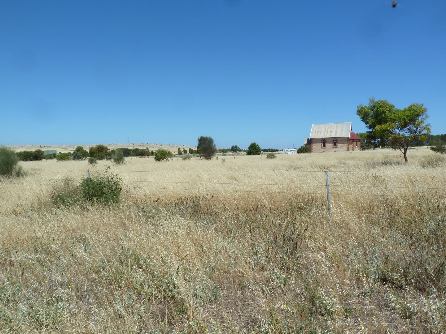 Lot 15 Third Street, Sheringa SA 5607, Image 2