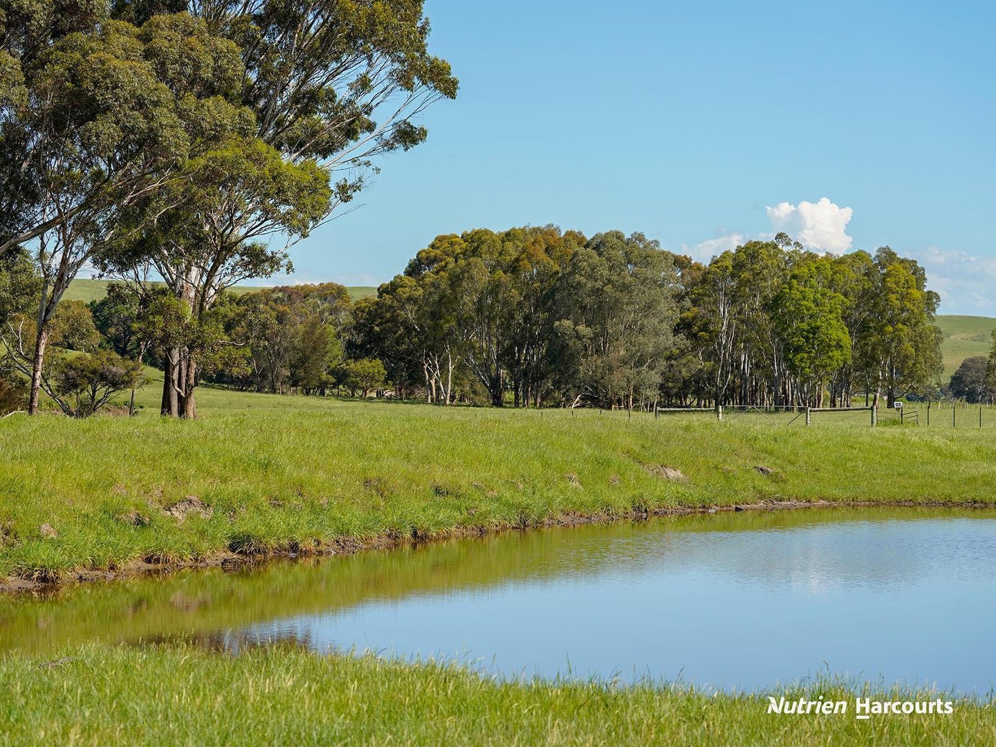 0 Corner Glenelg Highway - Den Hills Road, Coleraine VIC 3315, Image 1