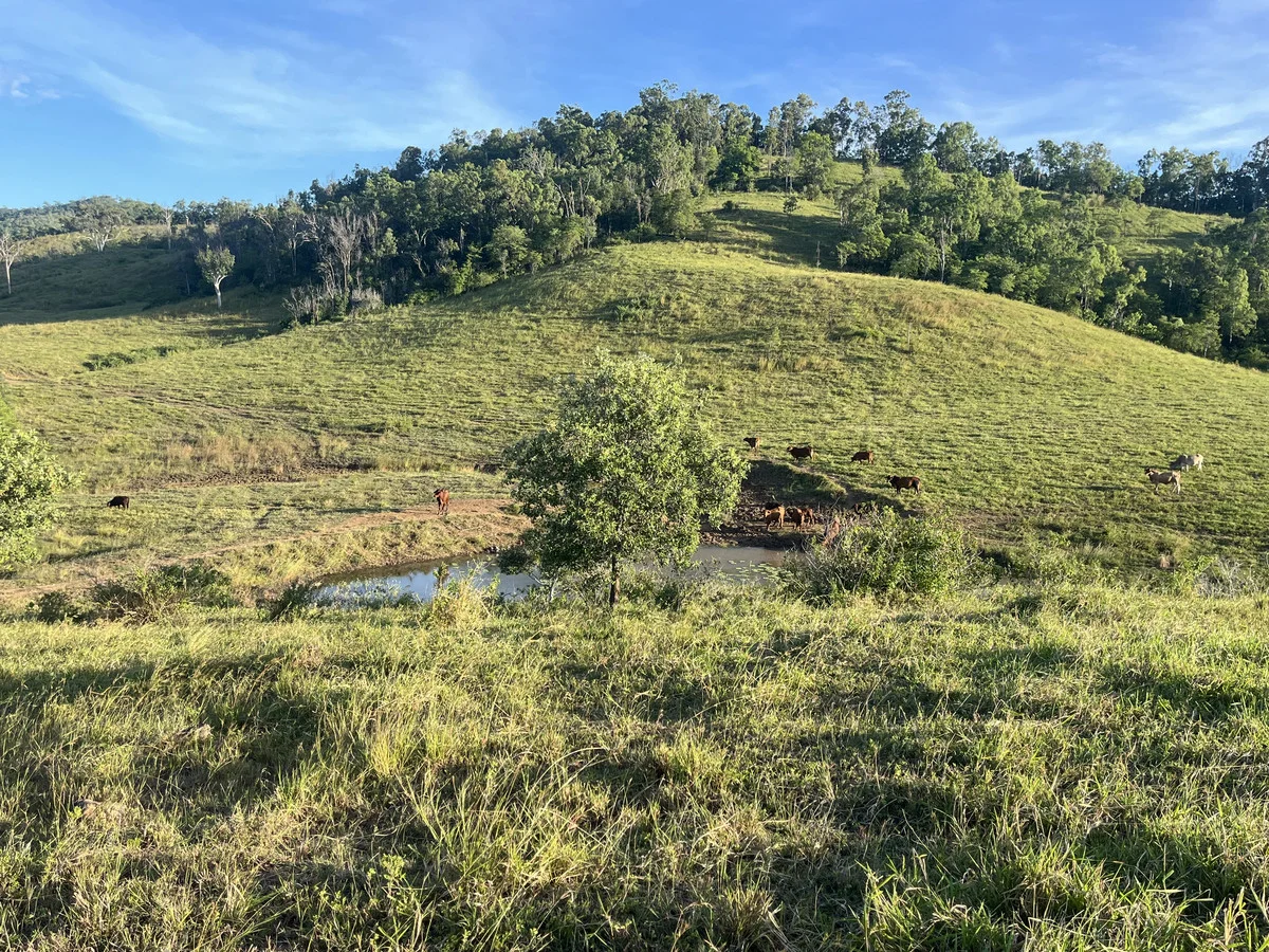 Image 22