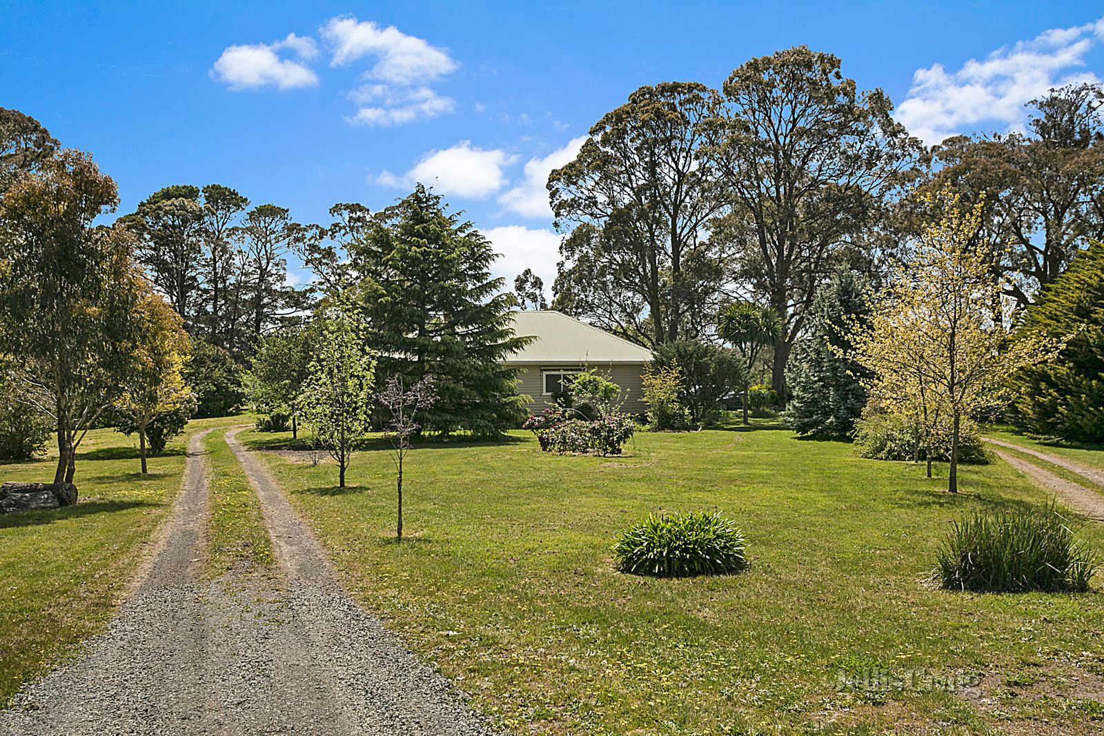 551 Springhill Road, Spring Hill VIC 3444, Image 1