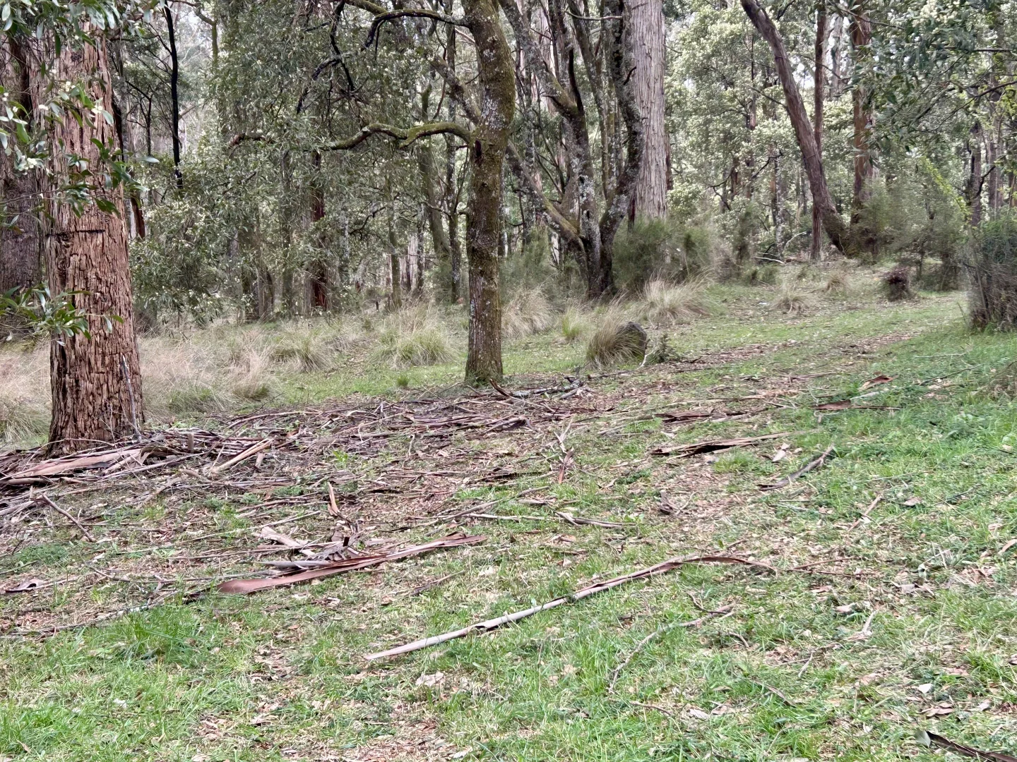 Image 10