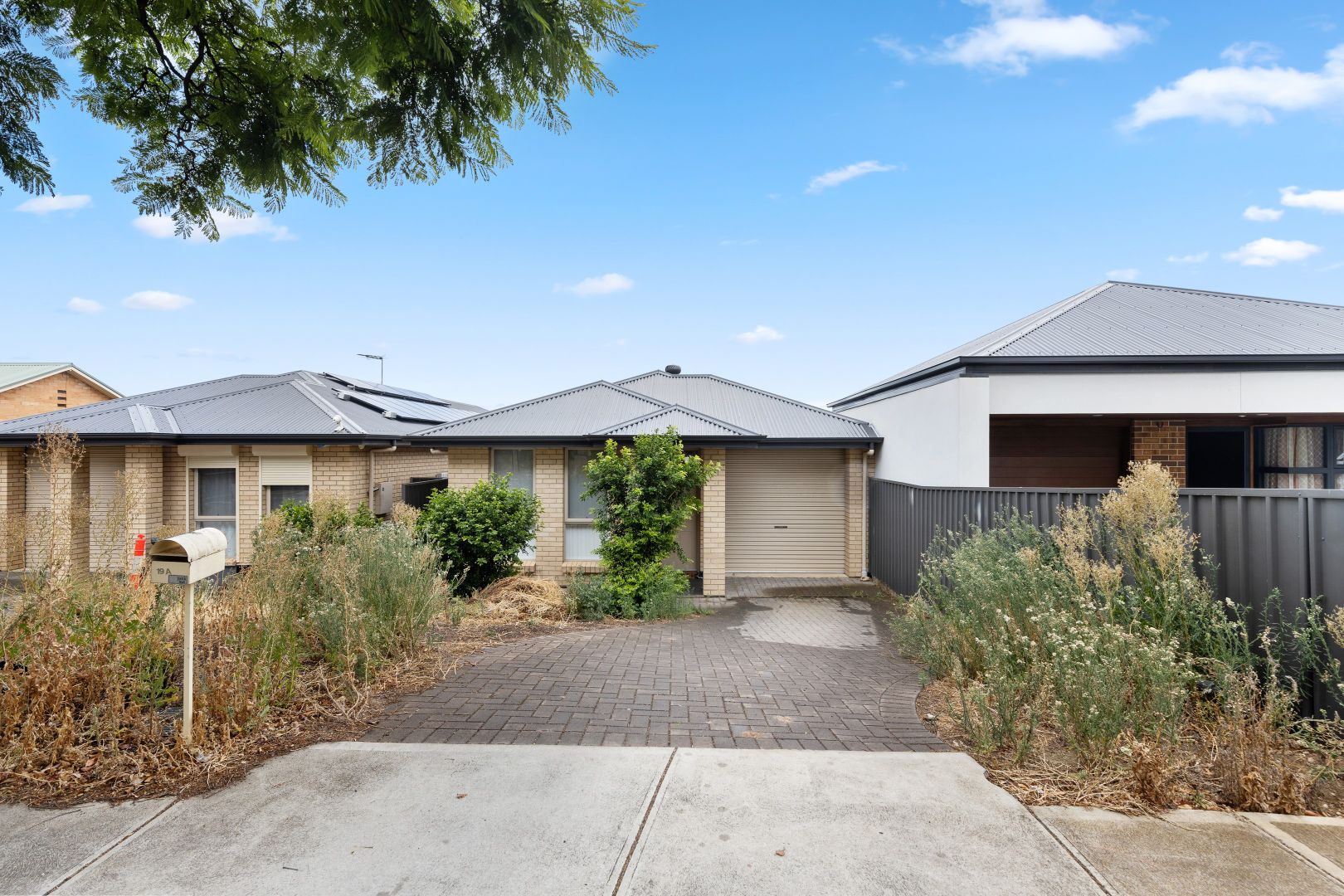 19A Jackson Terrace, Enfield SA 5085 Domain