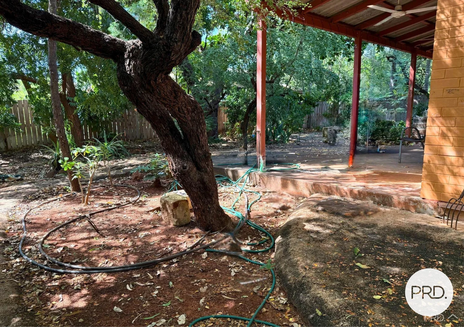 Image 6