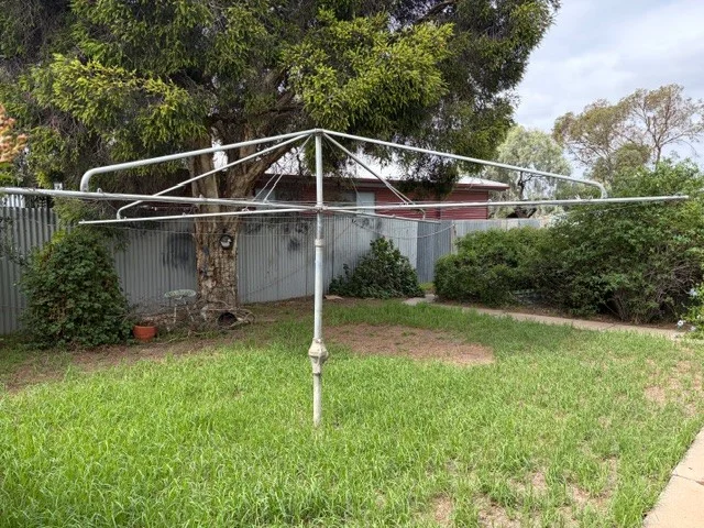 Image 14