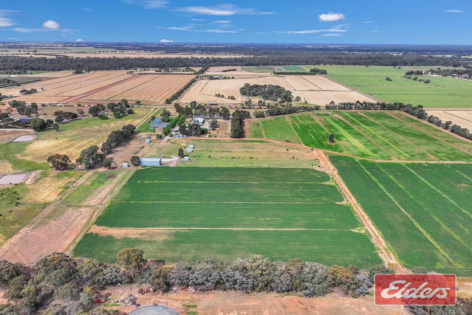 Image 25