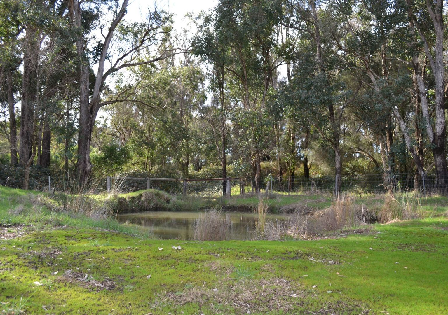 Lot 1 Donnybrook-Boyup Brook Road, Mumballup WA 6225, Image 2