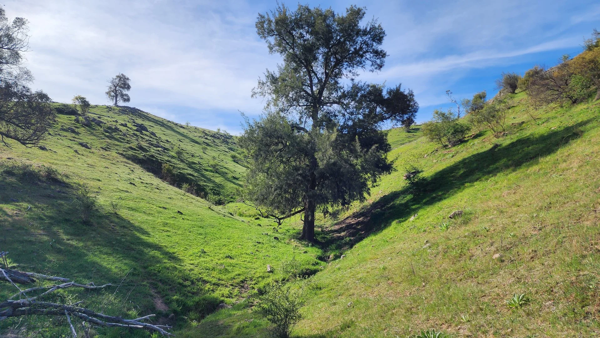 Additional image 25 of 143 Rochford Road, Wallaroo NSW 2618