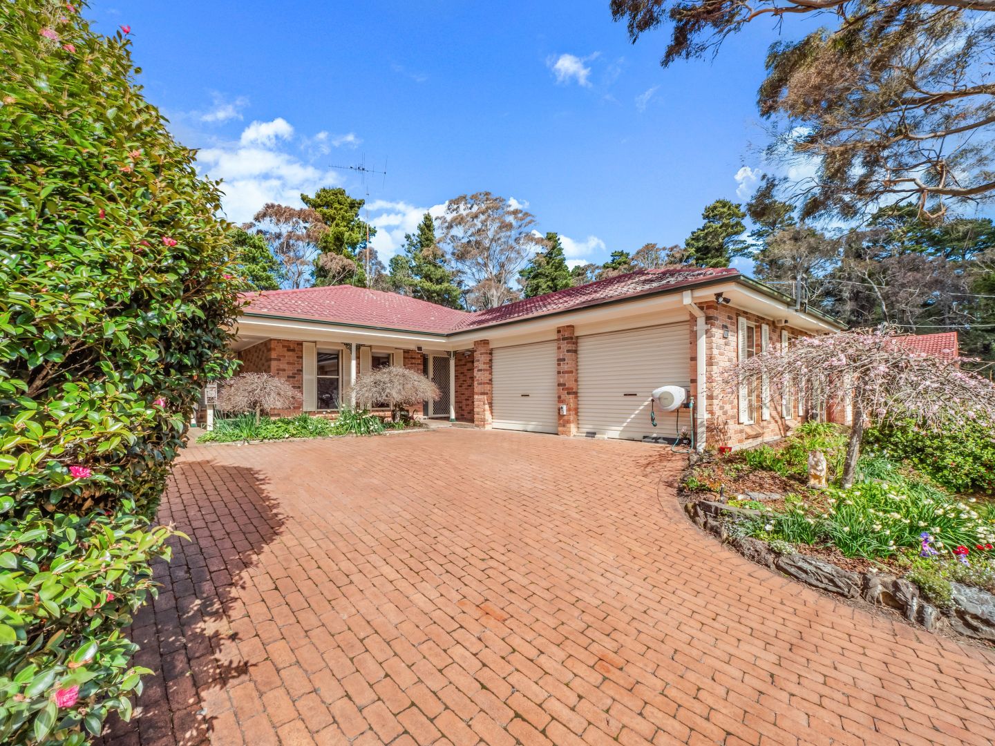 189 Govetts Leap Road, Blackheath NSW 2785, Image 2