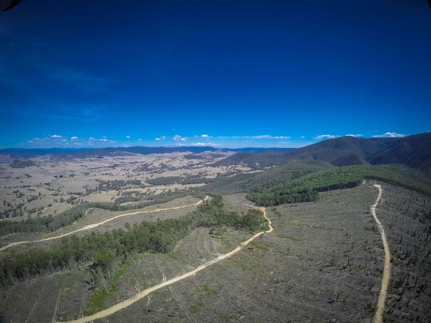 Cudgewa VIC 3705, Image 1