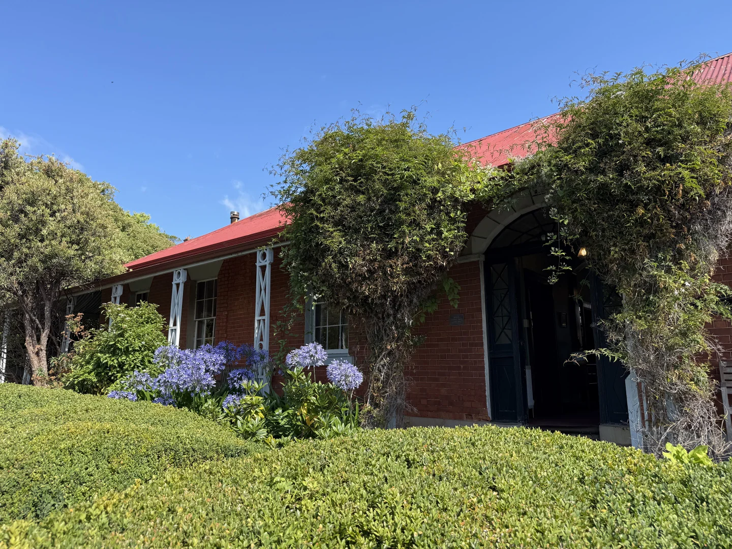 Image 31