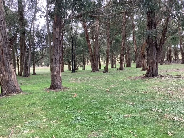Image 18