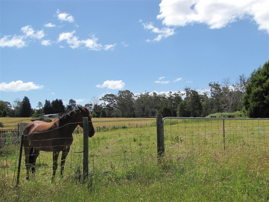 265 Weld Street, Beaconsfield TAS 7270, Image 1