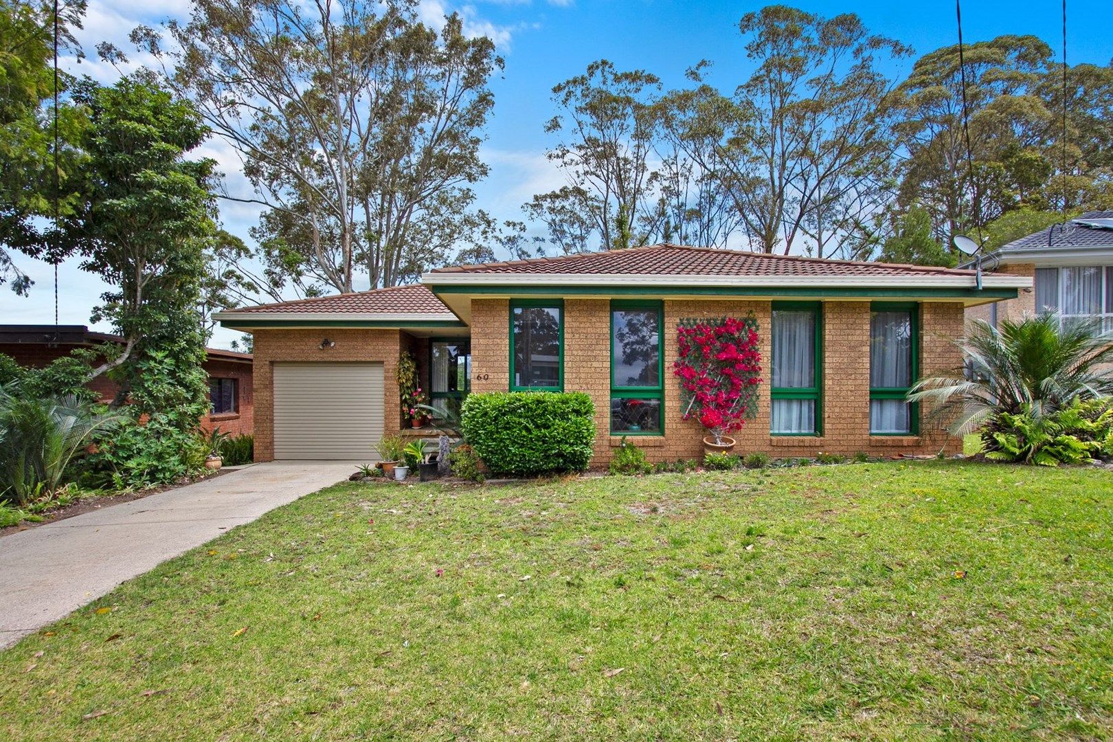 60 Calga Crescent, Catalina NSW 2536, Image 0