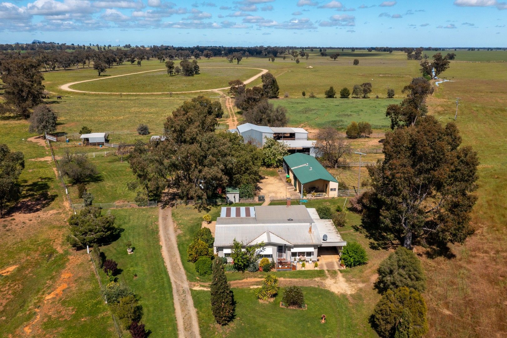 2463 STURT HIGHWAY, Collingullie NSW 2650, Image 1