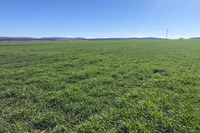 Picture of "Paringa" Liverpool Plains, QUIRINDI NSW 2343